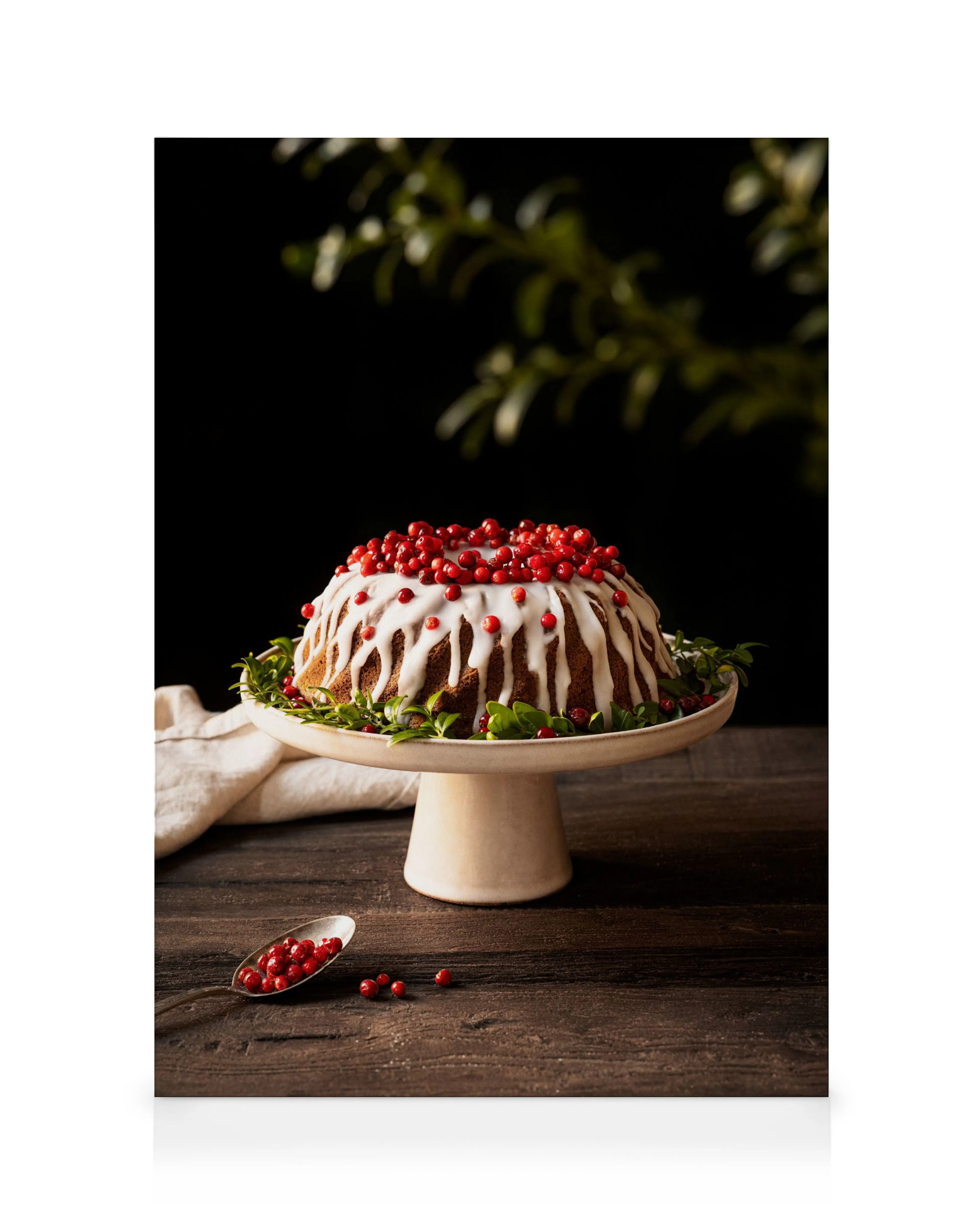Christmas Cake Toile 0