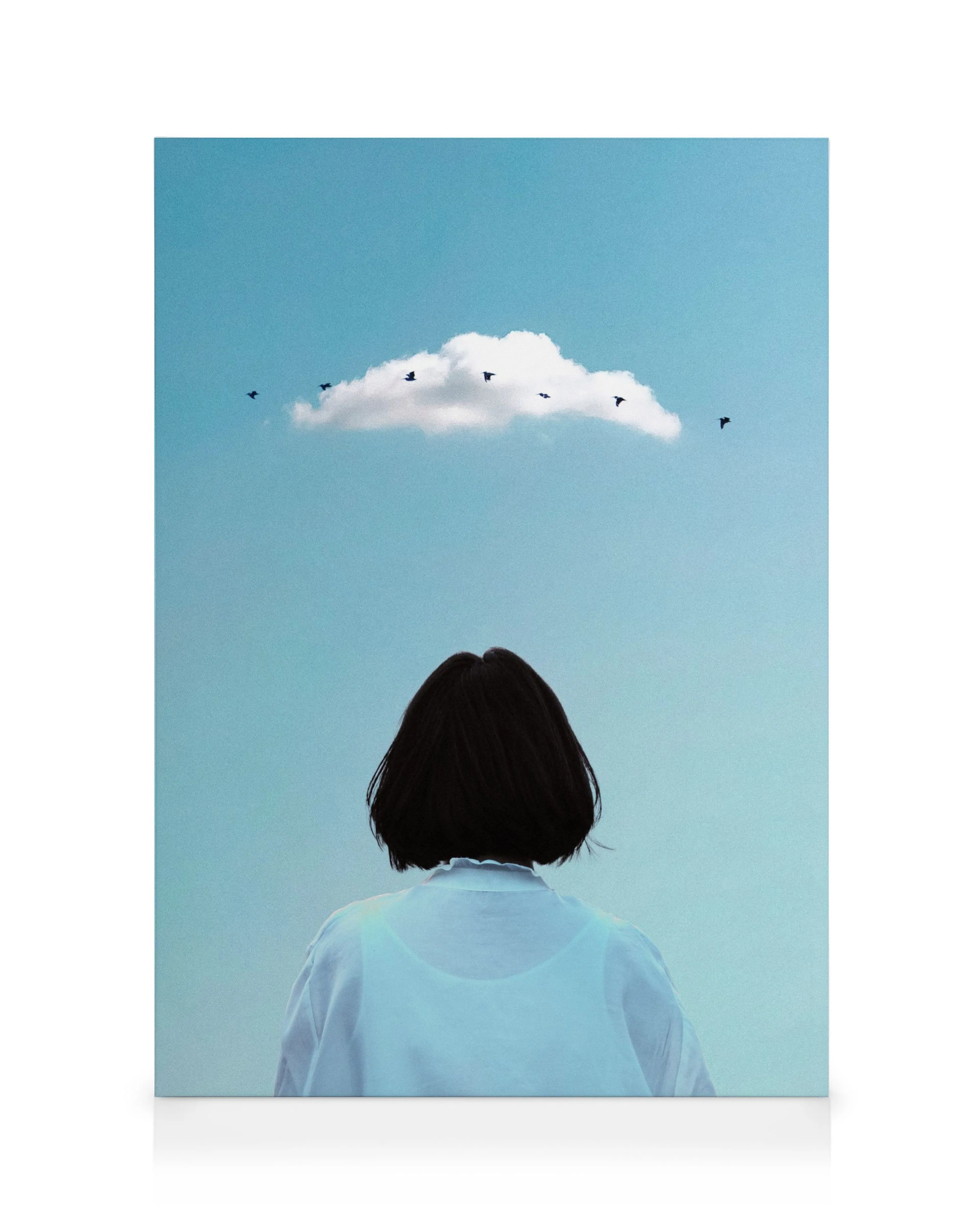 Joel Mellström - High Flying Birds Toile 0