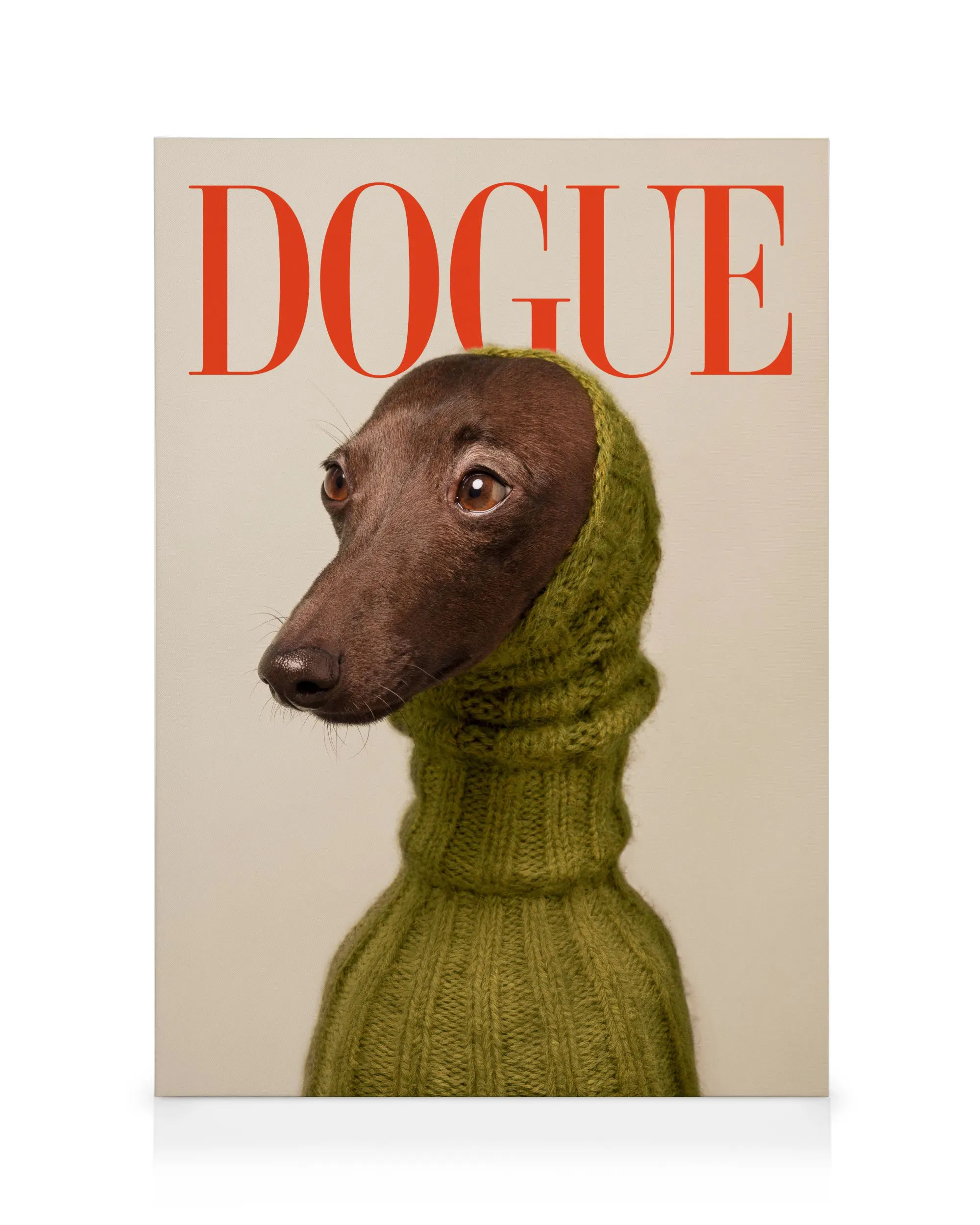 Dogue No2 Obraz na plátně 0