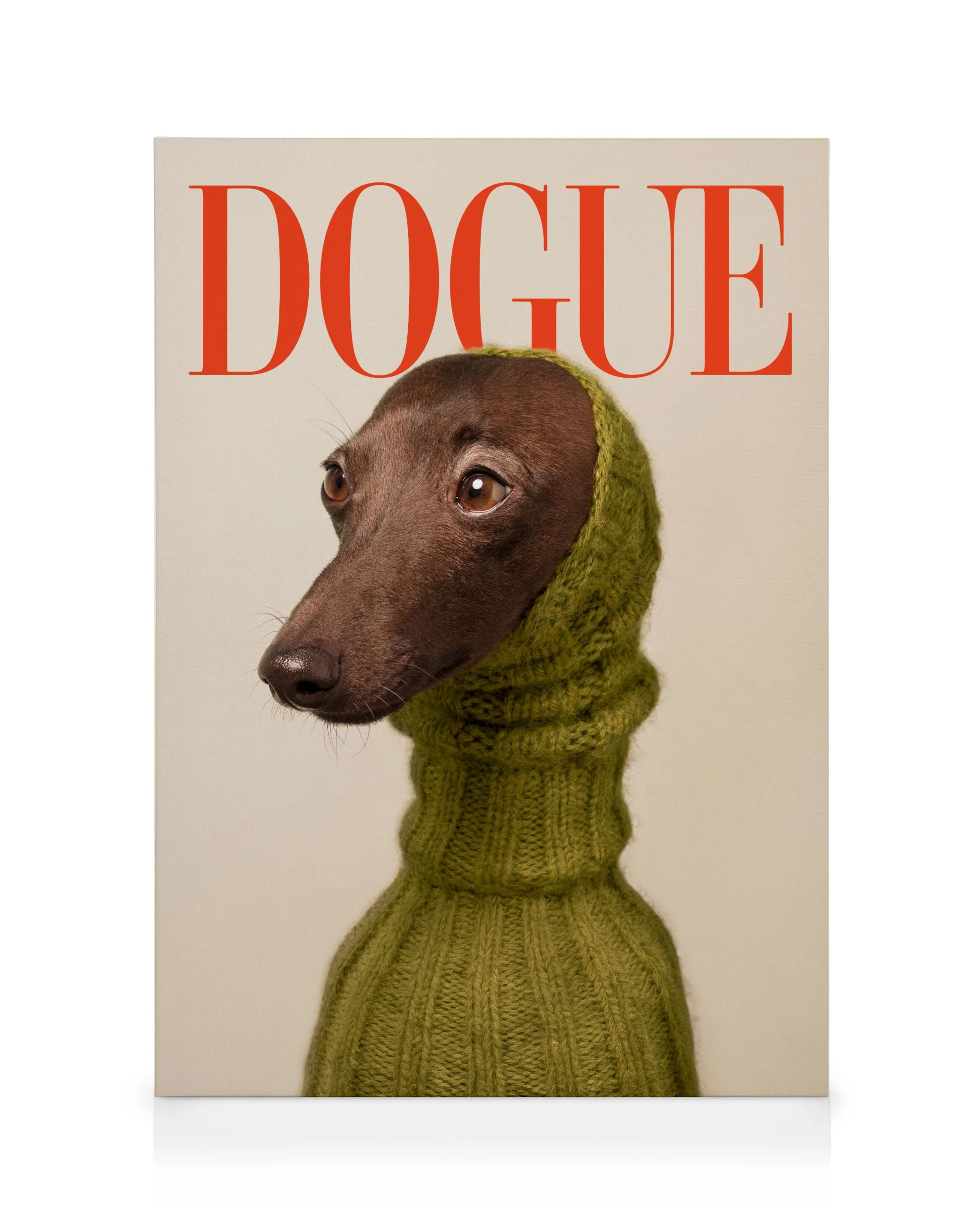 Dogue No2 Obraz na płótnie 0