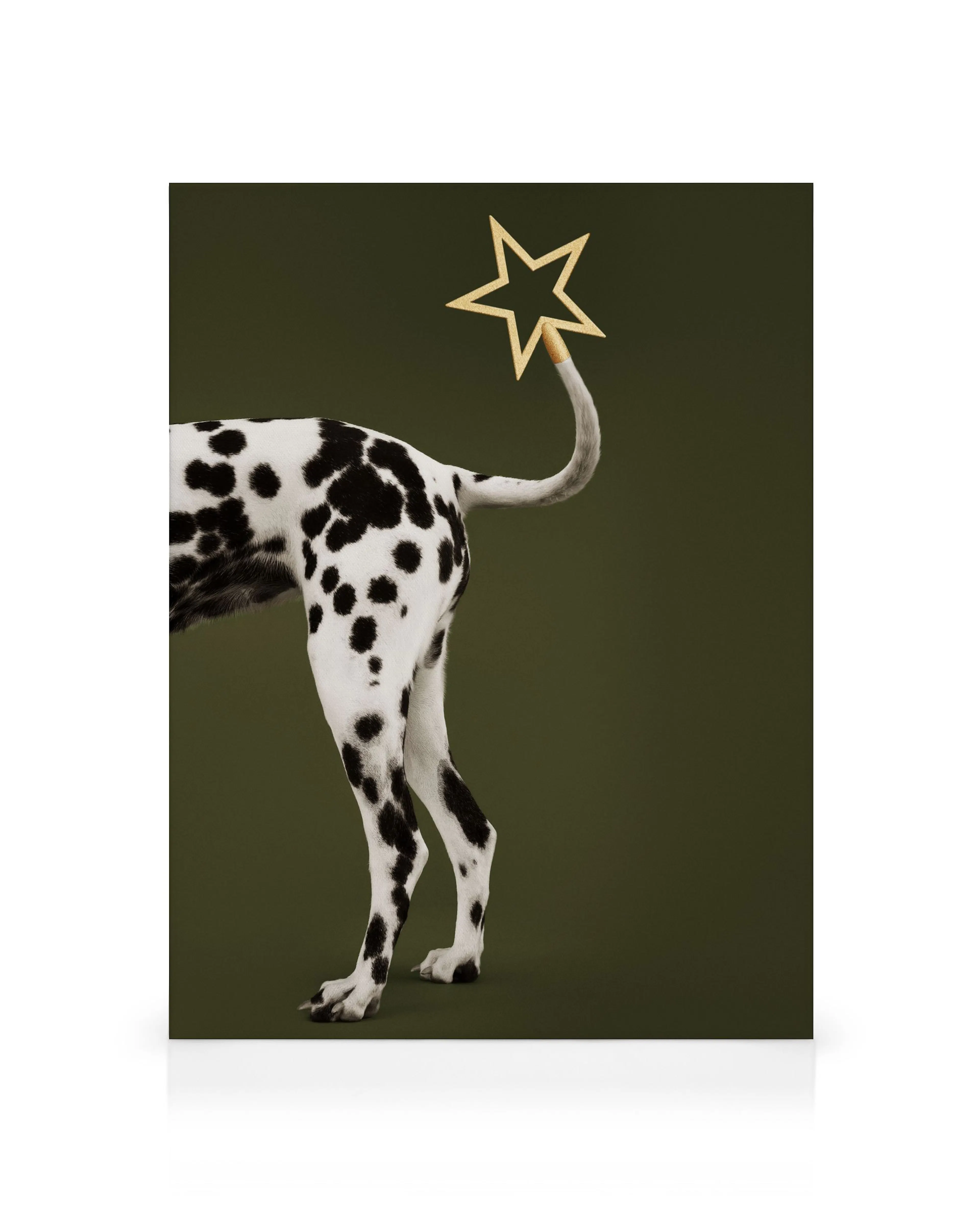 Product image: 1