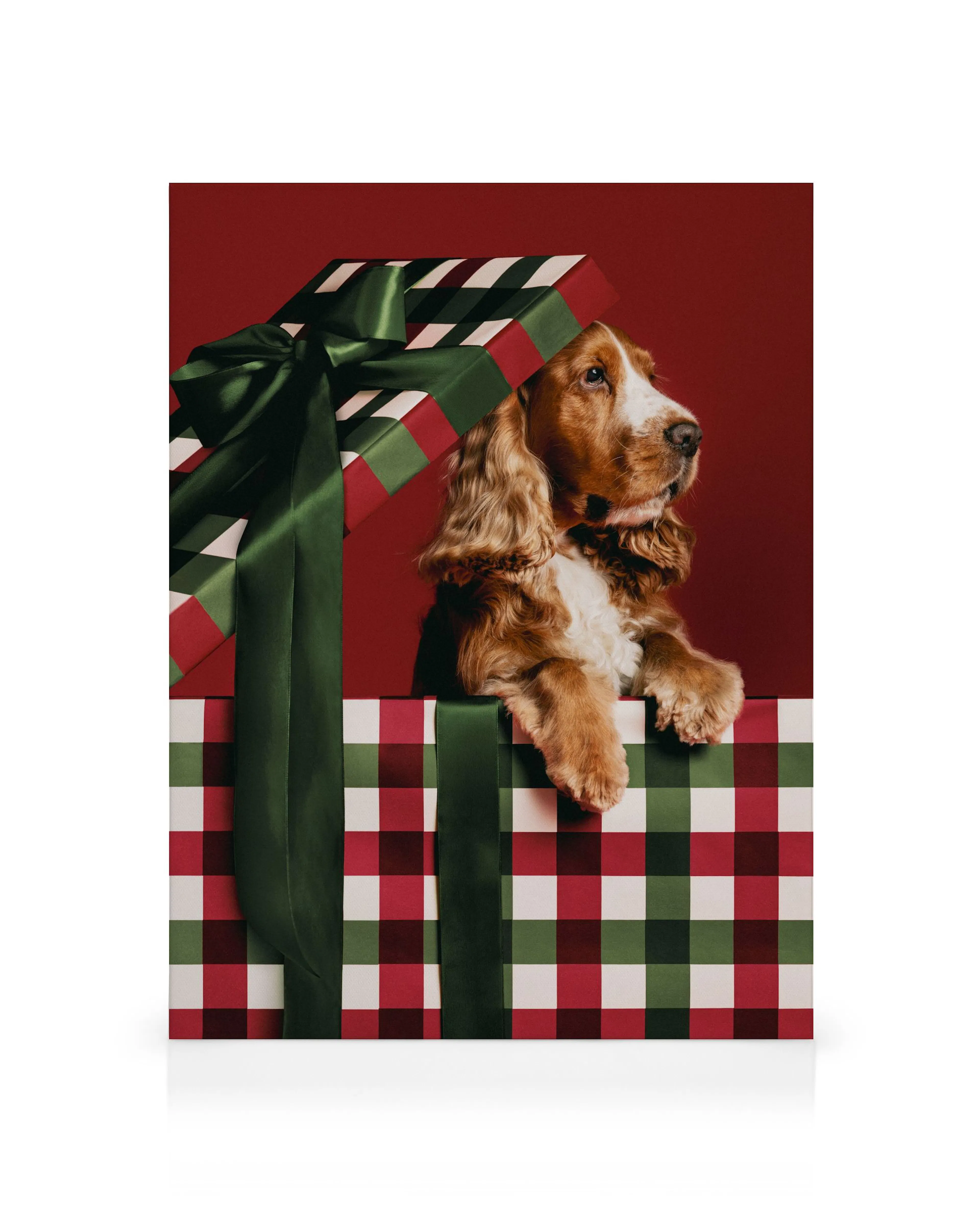 Product image: 1