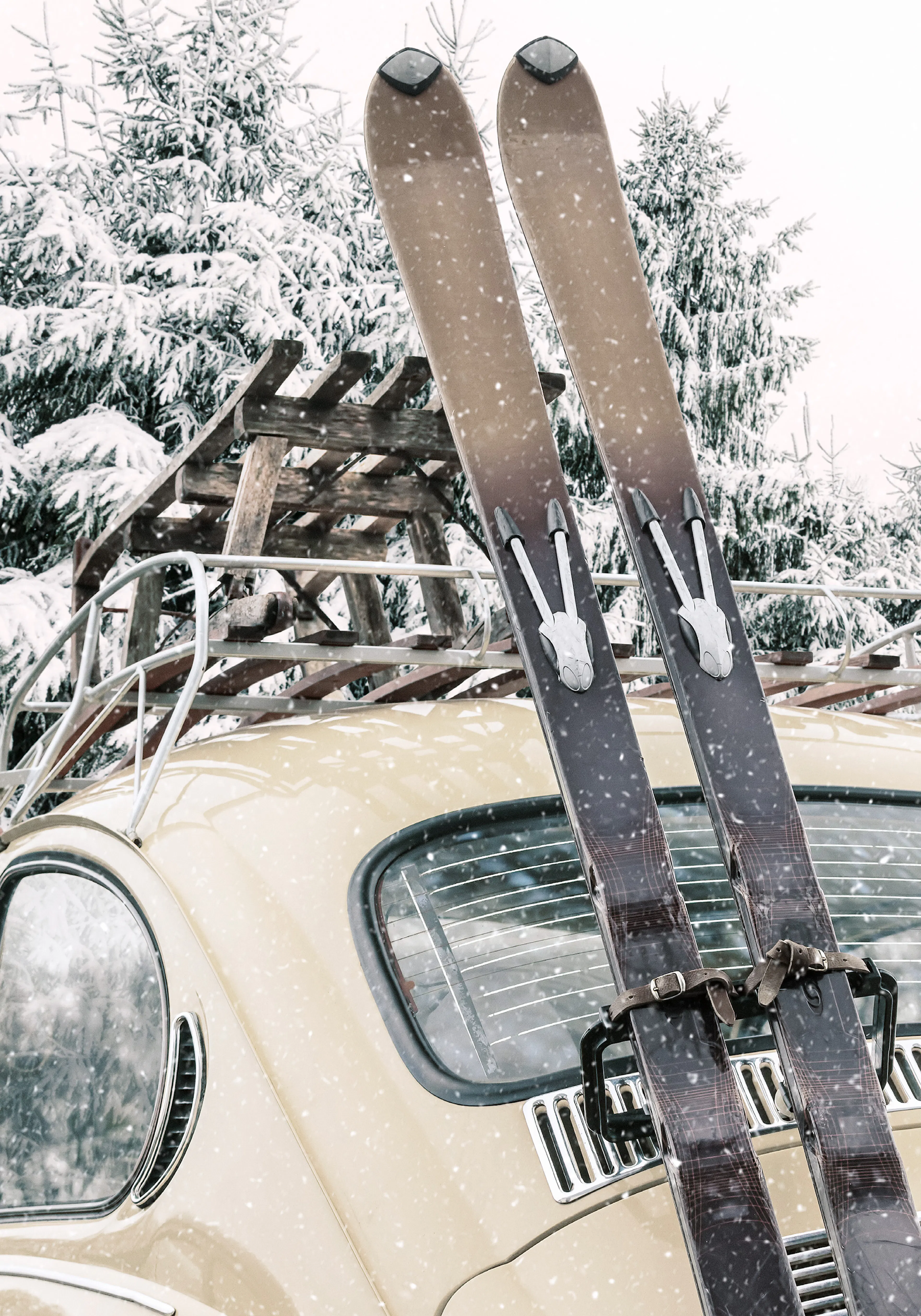 Skis and Snowfall Poster 0