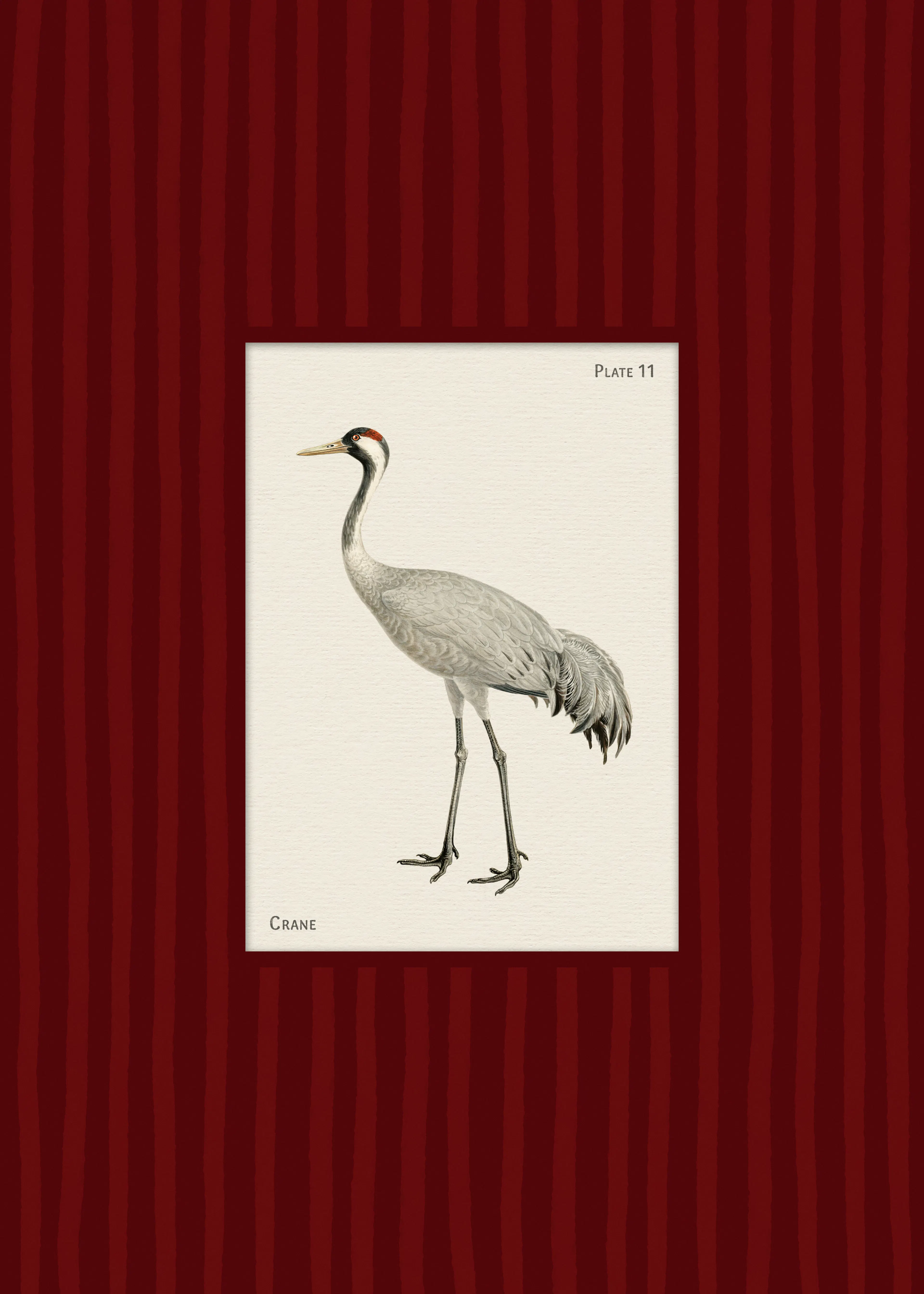 Vintage Crane Print 0