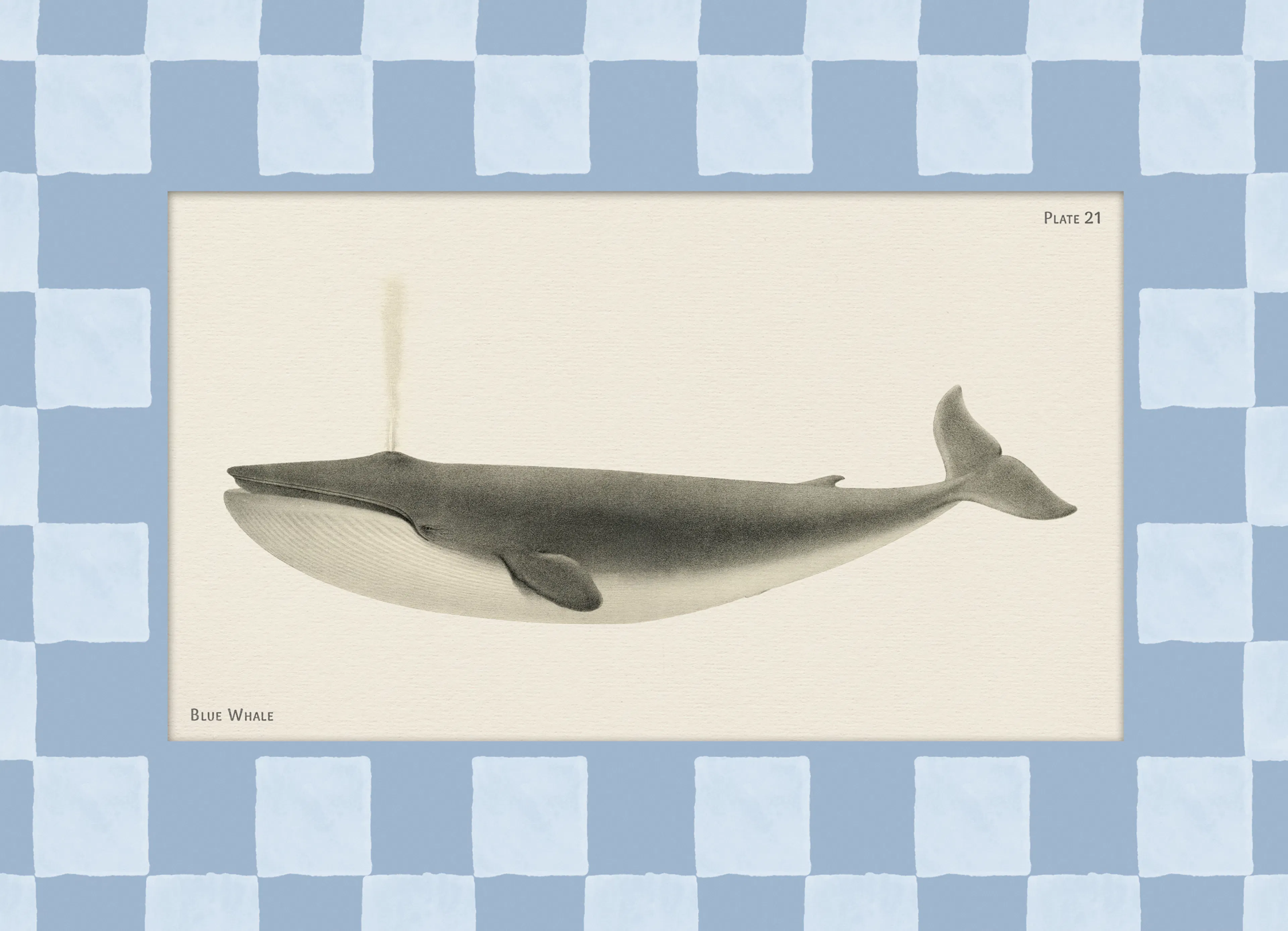 Product image: 1