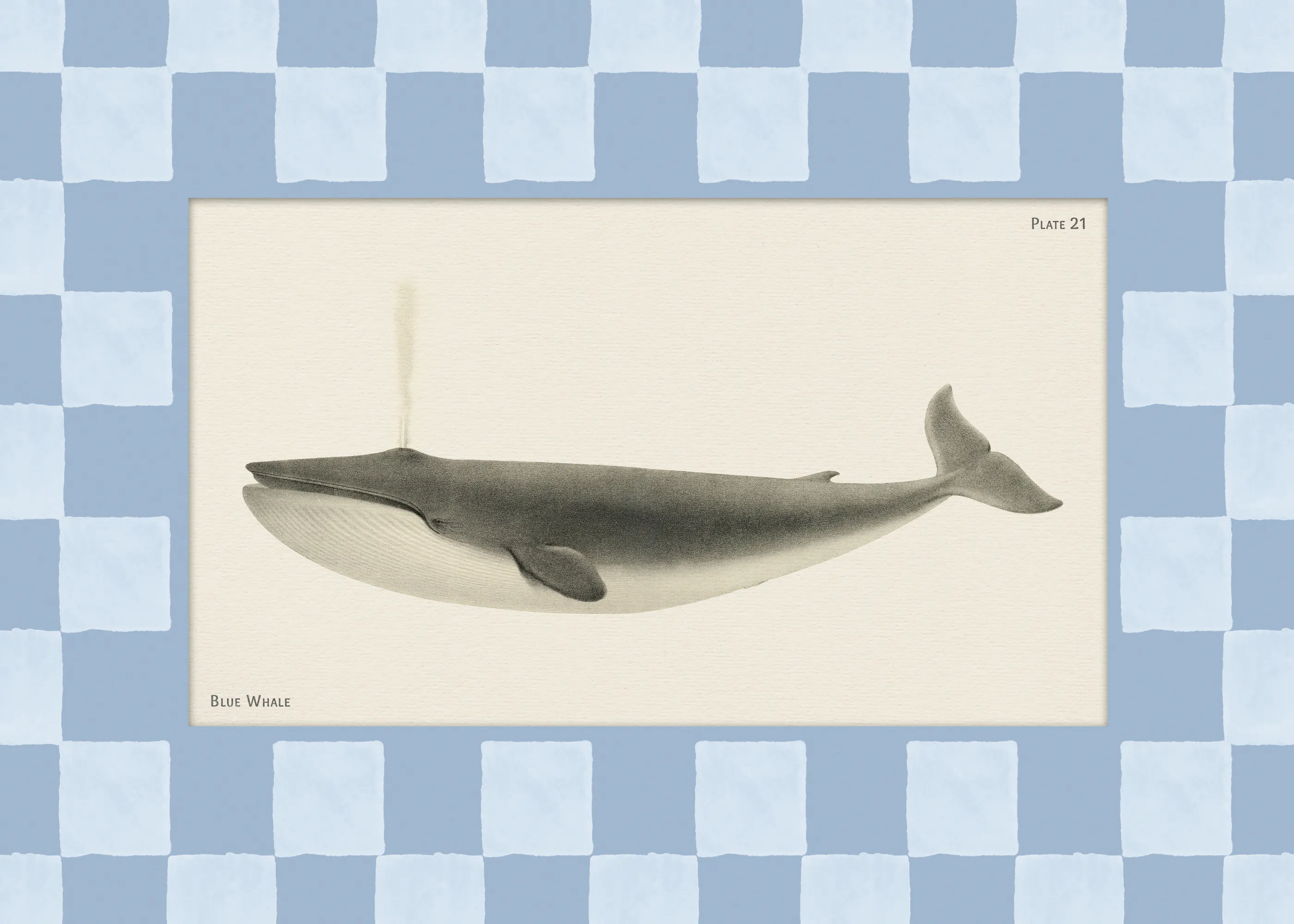 Vintage Blue Whale Poster 0