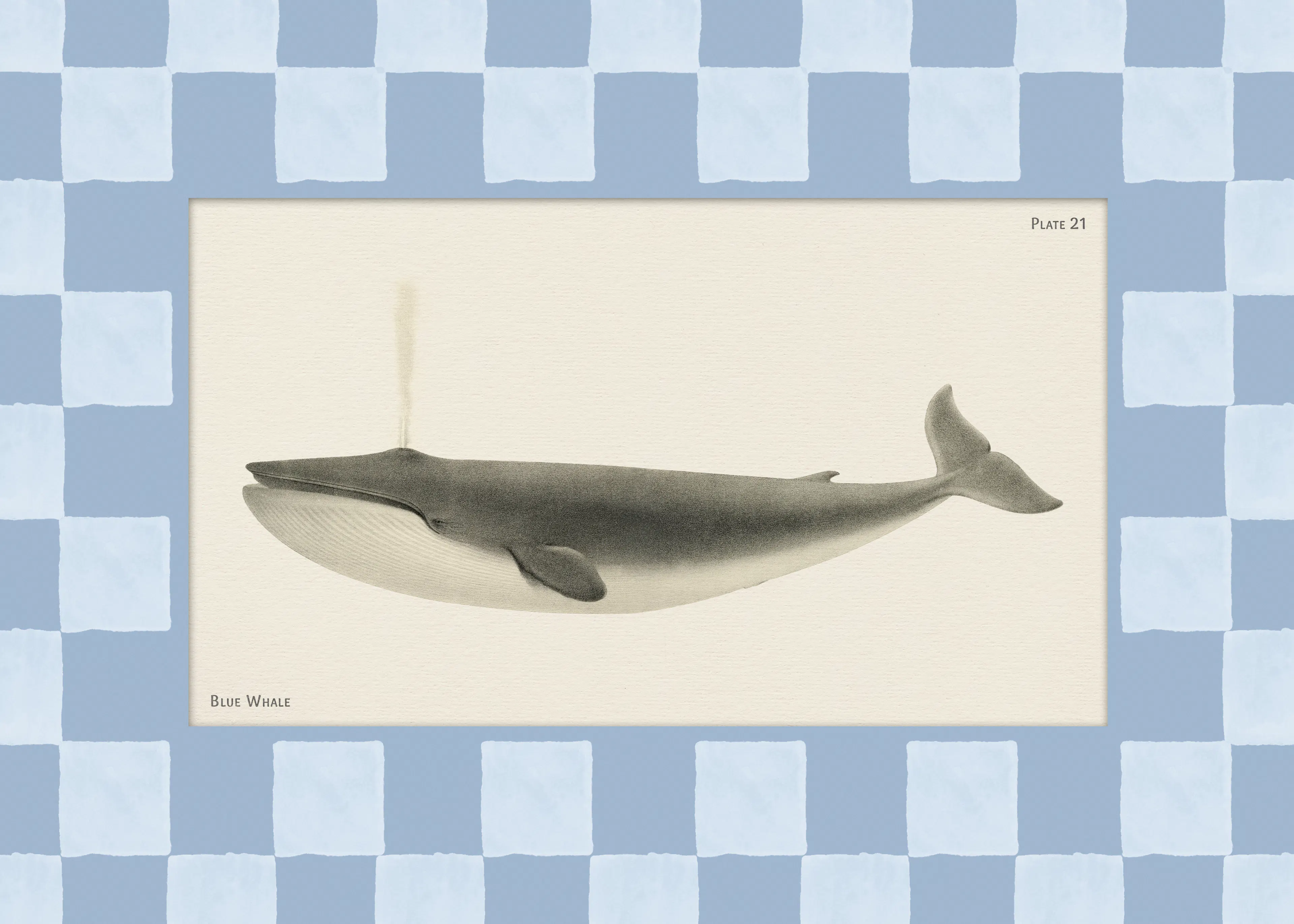 Vintage Blue Whale Print 0