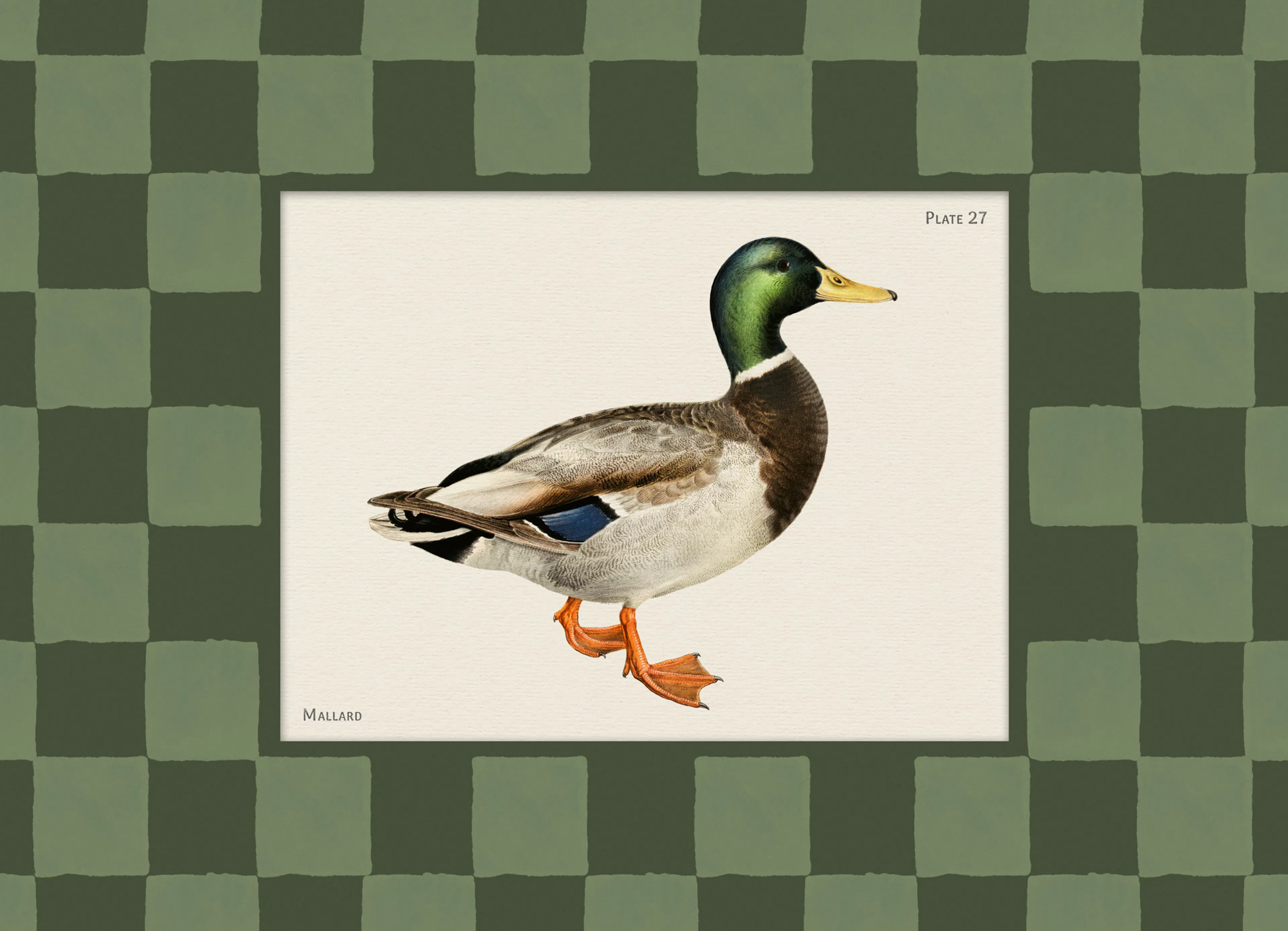 Product image: 1