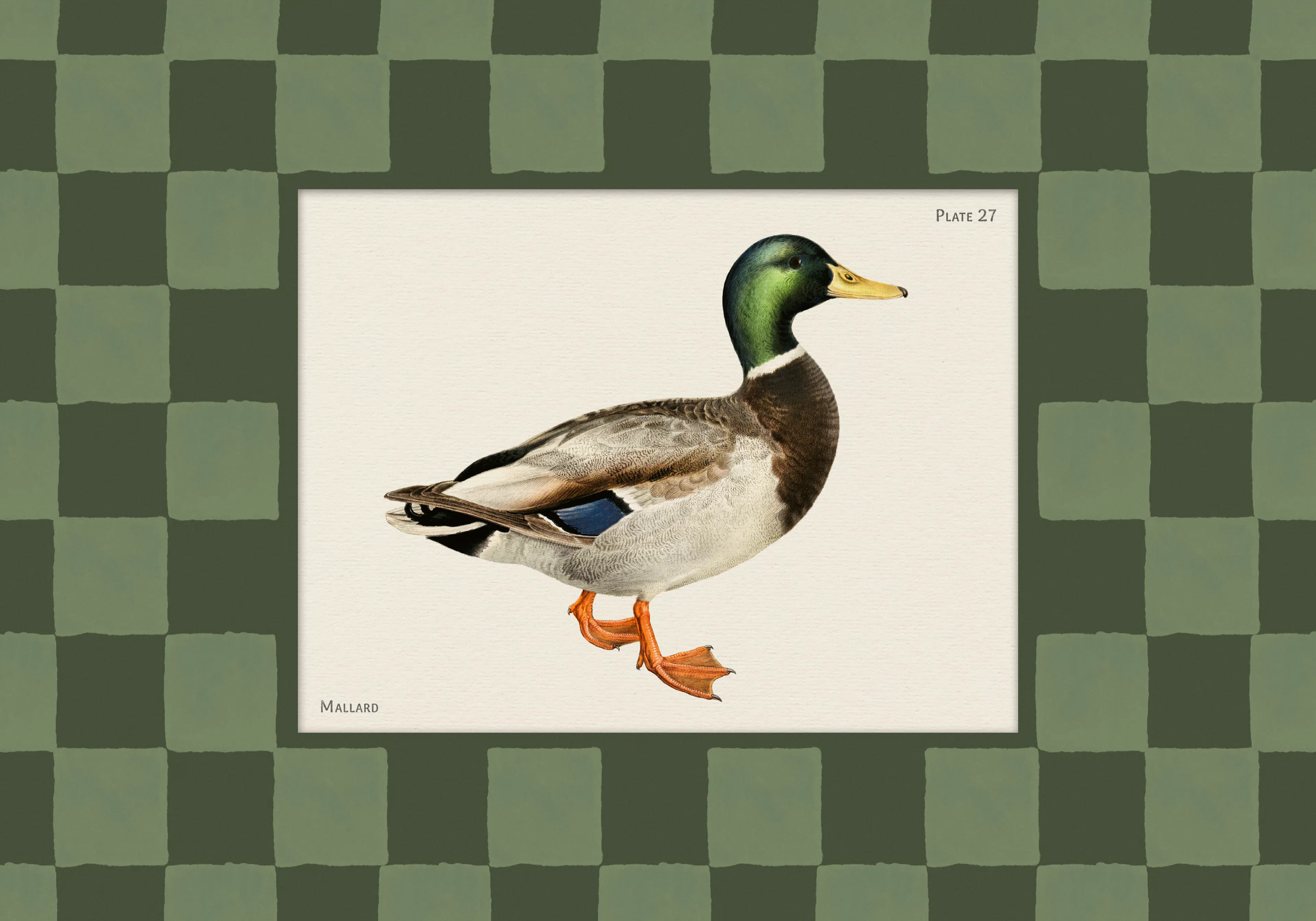 Product image: 1