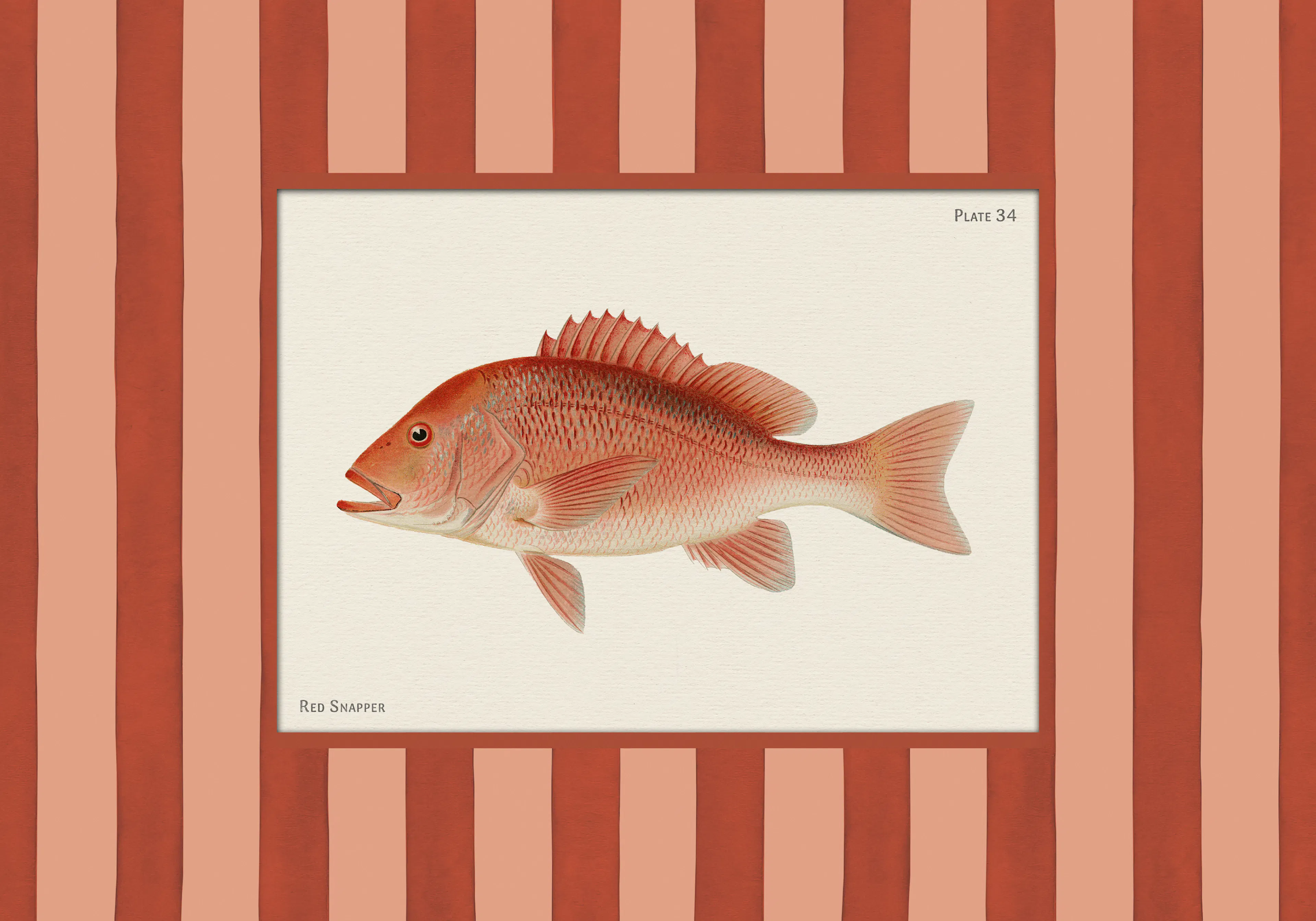 Product image: 1