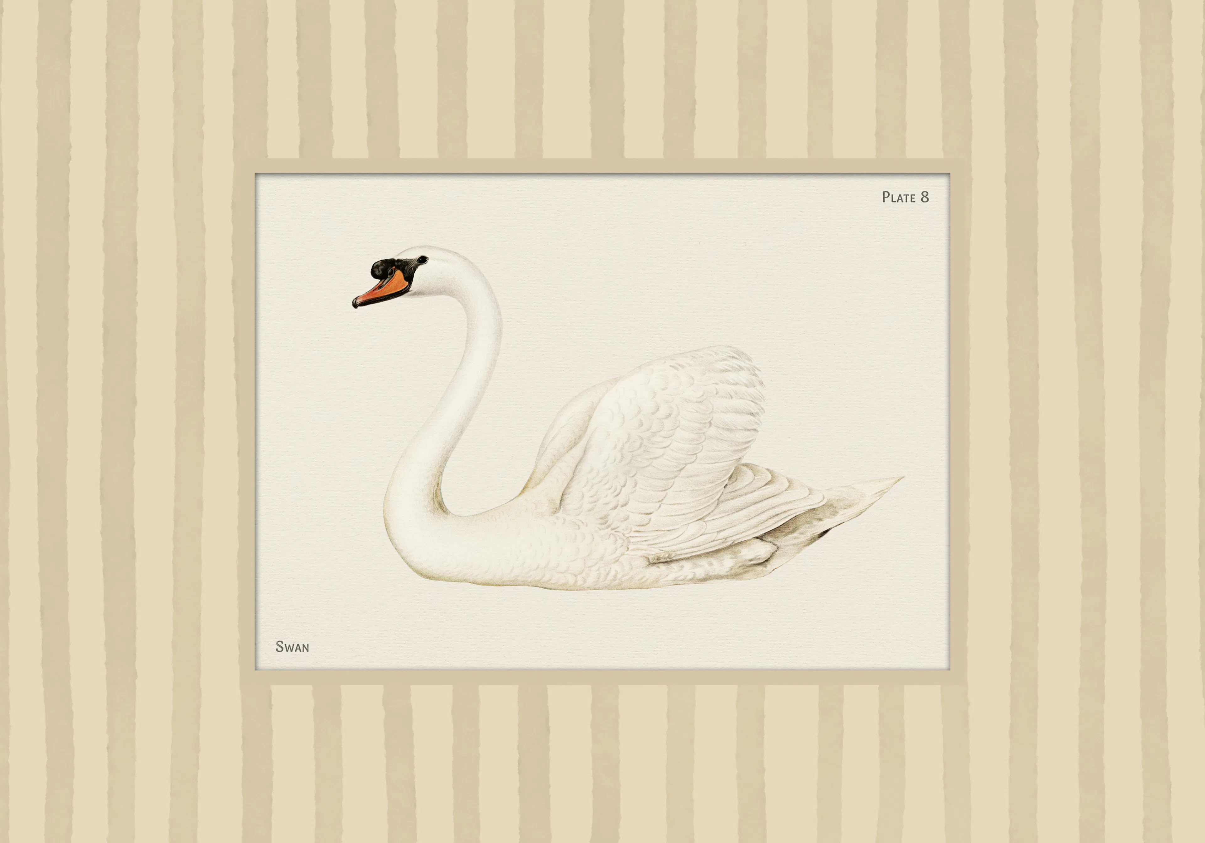 Product image: 1