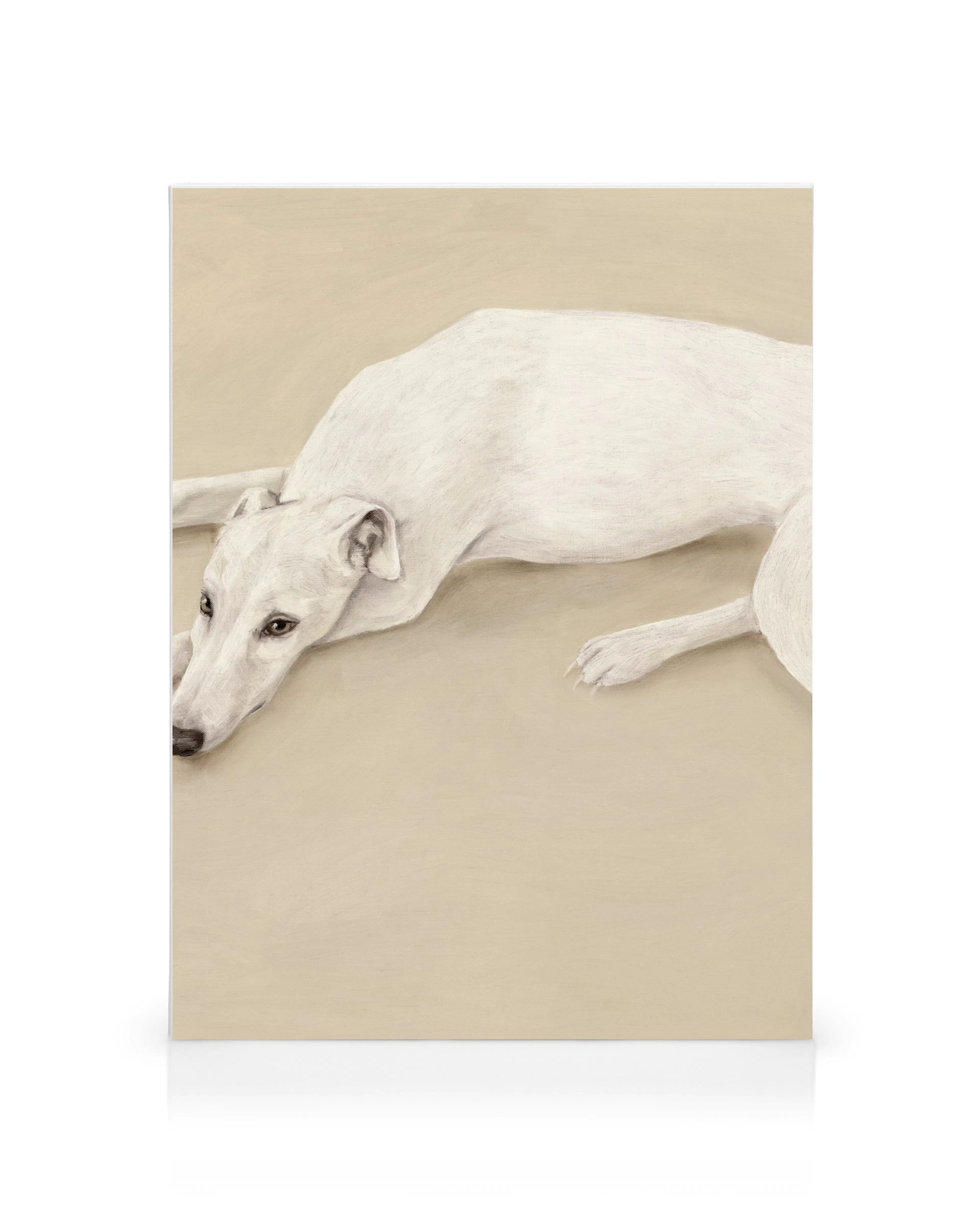 Product image: 1